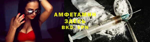 прущие грибы Магас